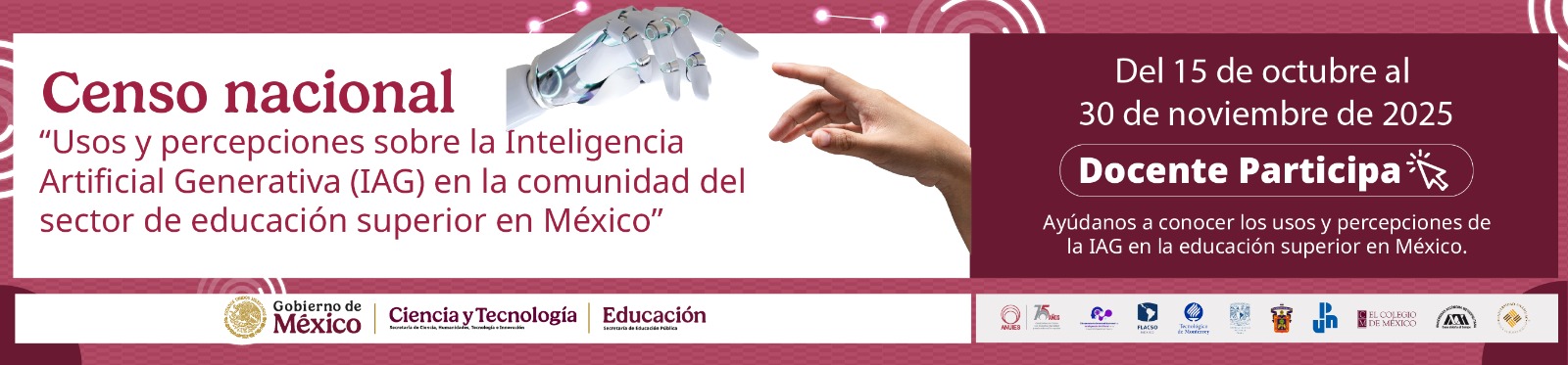 Docentes Censo Nacional